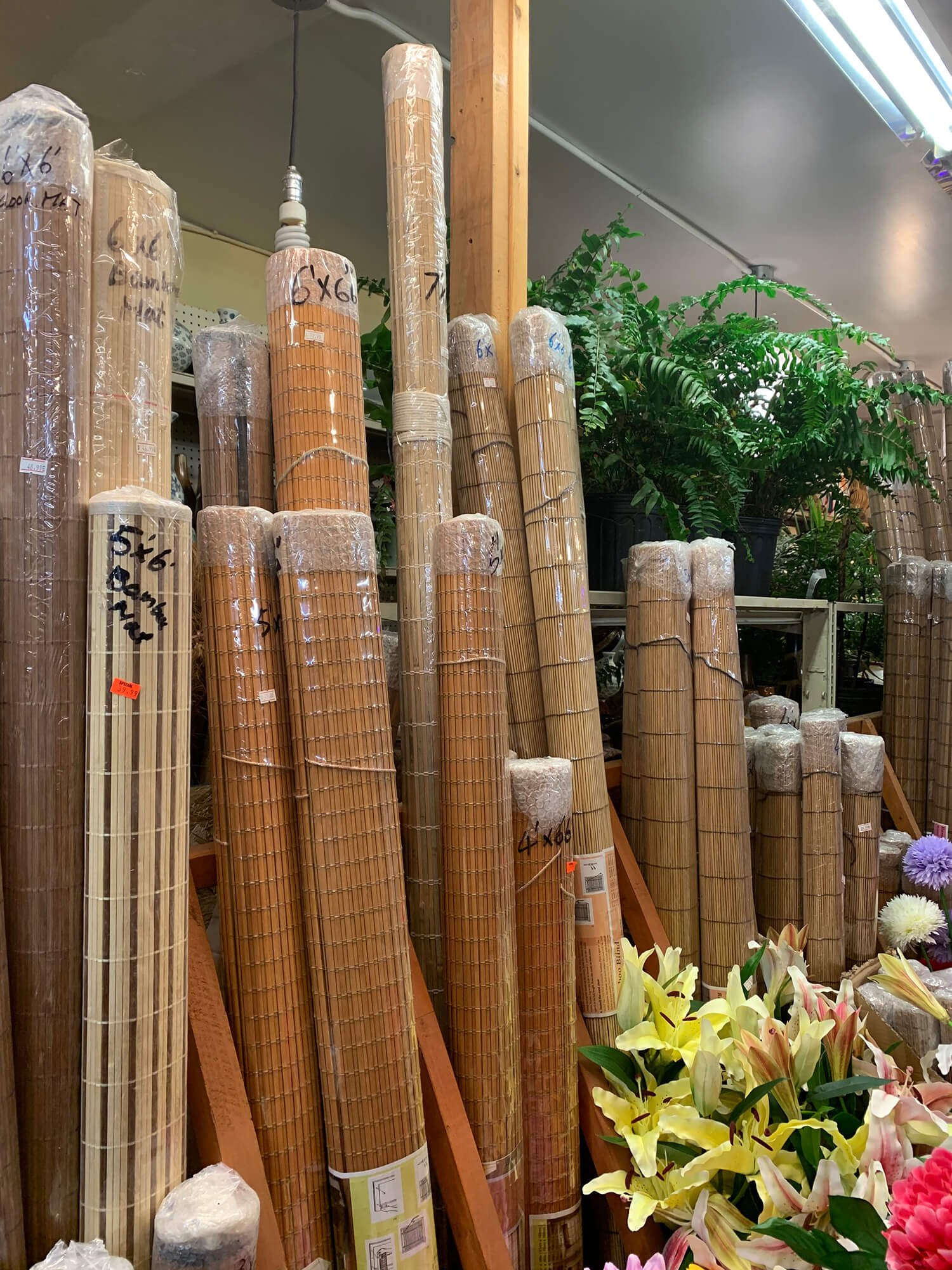 A look at some of Bamboo Village's iconic bamboo home decor. Rolls of Bamboo mats are shown, shrink-wrapped, and ready for purchase. The ever-present green of houseplants peek out from behind the exposed wooden beam.