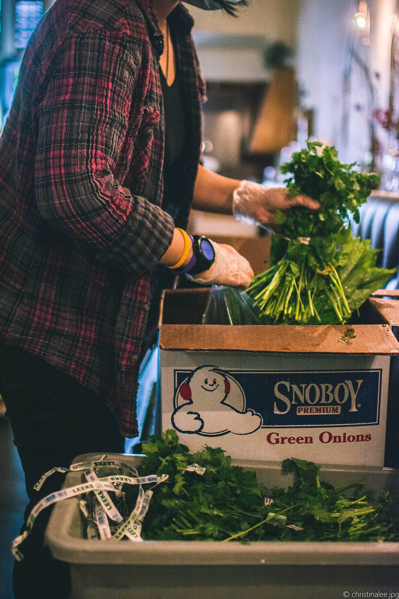 Close up shot of staff member packing groceries. They hold a plastic bag open with their right hand as they place a bunch of cilantro into the bag. The box they stand in front of reads 'green onions'.