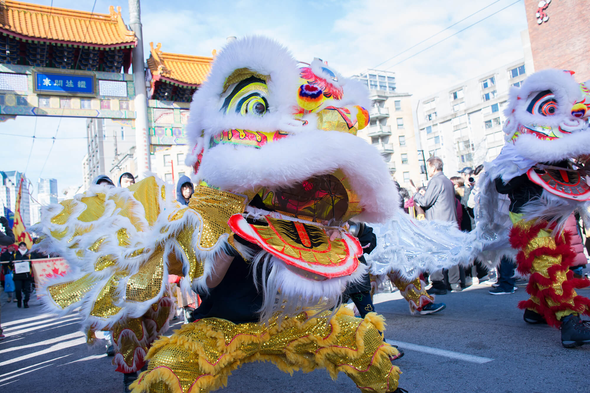Two lions, one gold with yellow trimmings, the other silver with red trimmings, mid-dance in front of the Vancouver Chinatown Millenium Gate . It is a crisp and bright winter day, and they are performing in a parade.
