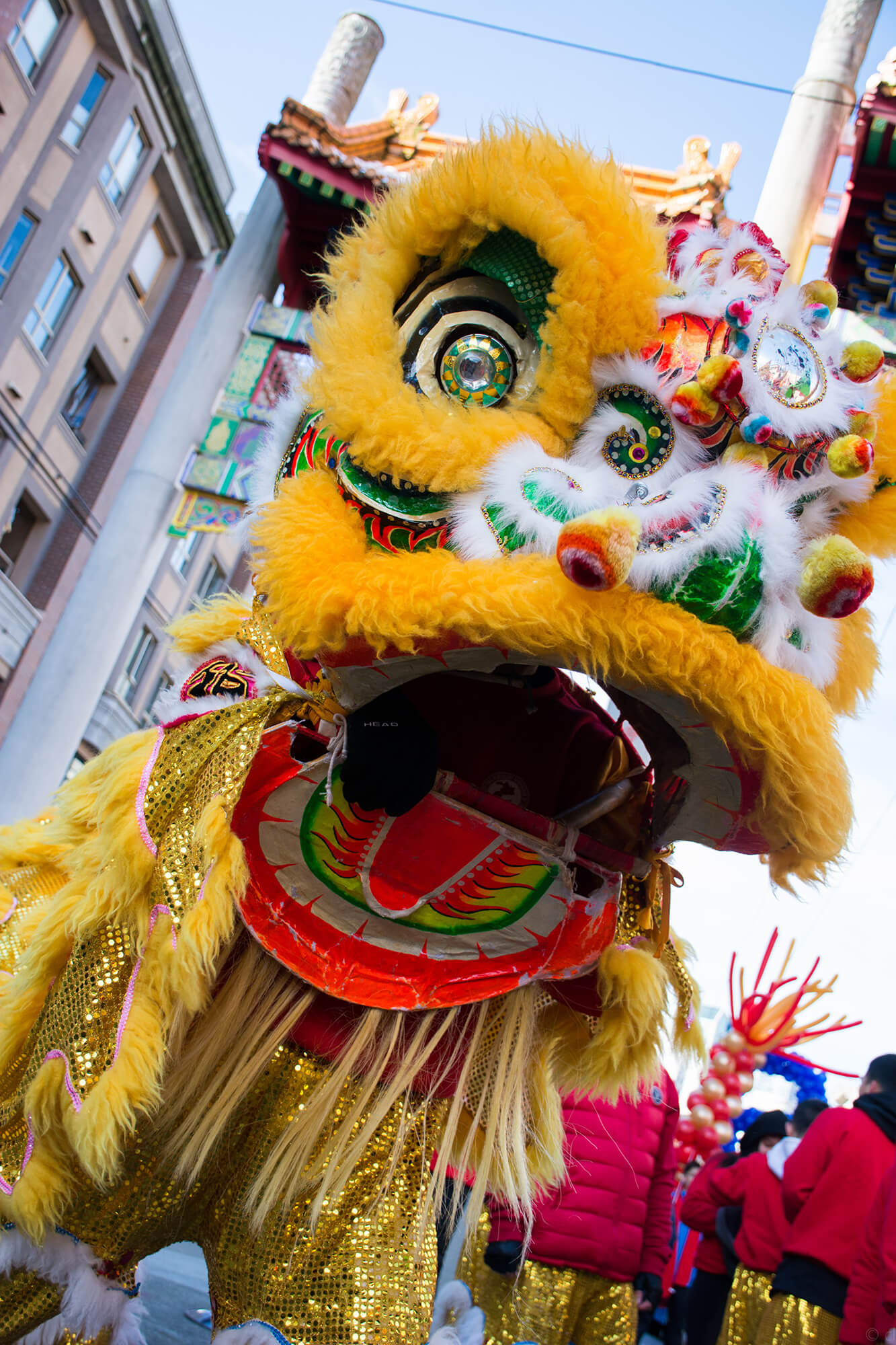 Image of a lion dancer waiting in a yellow ceremonial lion's head costume before a parade performance.